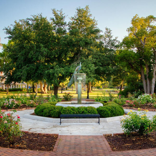 background-image