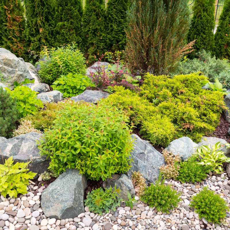 landscaping5