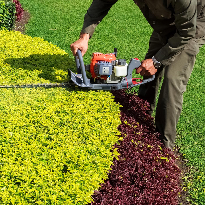 landscaping6